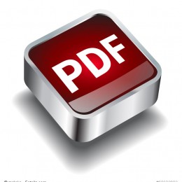PDF Button rot