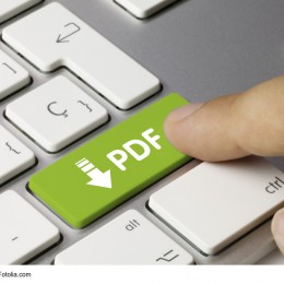 PDF Button Grün auf Tastatur